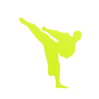 Karate boy isolated on transparent png