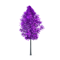 bunt Baum isoliert auf transparent png