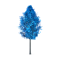 Colorful tree isolated on transparent png