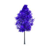 Colorful tree isolated on transparent png