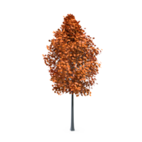 Colorful tree isolated on transparent png