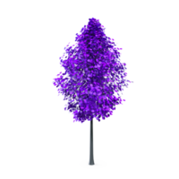 vistoso árbol aislado en transparente png