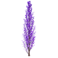 árbol aislado en transparente png