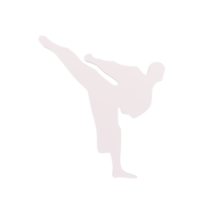 Karate boy isolated on transparent png