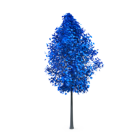 Colorful tree isolated on transparent png