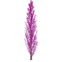 Tree isolated on transparent png