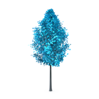 Colorful tree isolated on transparent png