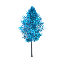 colorato albero isolato su trasparente png