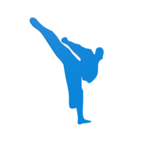 karate pojke isolerat på transparent png