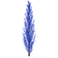 árbol aislado en transparente png