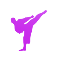 Karate boy isolated on transparent png