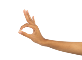 hand showing ok sign isolated png