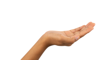 Hands raise something isolated for display product png