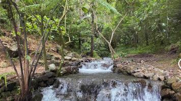 río agua en el campo video