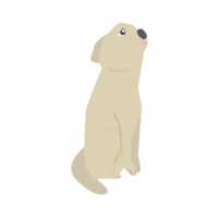 Illustration of funny dog in cartoon style. png