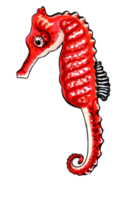 rojo color caballo de mar. png ilustración marina animales