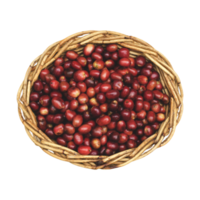 café frijoles cesta png