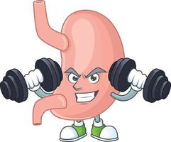 Stomach Cartoon character vector