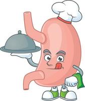 Stomach Cartoon character vector