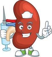 Right human kidney Cartoon character vector