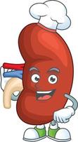 Right human kidney Cartoon character vector