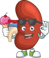 Right human kidney Cartoon character vector