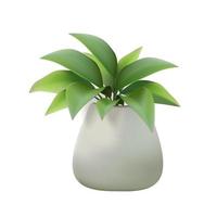 Design element of indoor plant pot isolated on white background, in 3D illustration vector