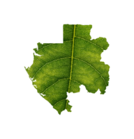 Gabon carta geografica fatto di verde foglie, concetto ecologia carta geografica verde foglia png