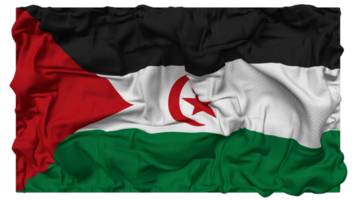 Sahrawi Arab Democratic Republic Flag Waves with Realistic Bump Texture, Flag Background, 3D Rendering png