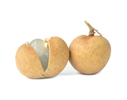 Two fresh sweet Thai longans, peeled and unpeeled isolated in png file format with shadow, Concept of healthy eating