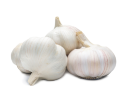 four fresh white garlic bulbs in stack isolated with clipping path and shadow in png file format, Thai herb is great for healing several severe diseases, heart attack, Hyperlipidemia