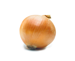 One fresh gold onion isolated with clipping path in png file format with shadow, Concept of healthy vegetable and  food