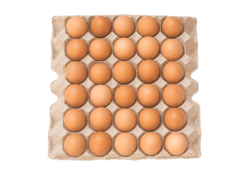 parte superior ver de huevos en abierto caja de cartón o papel bandeja aislado con recorte camino en png archivo formato
