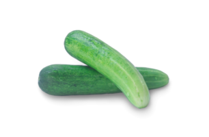 Two fresh green cucumbers vegetable in stack, heap or pile are isolated with clipping path and shadow in png file format