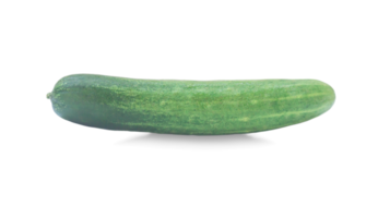 Single green fresh cucumber vegetable isolated with clipping path and shadow in png file format