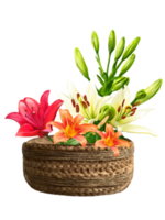 bouquet de fleurs de lys dans une panier illustration png