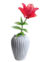 red lily in a vase illustration png