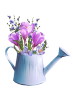 crocuses in a flowerpot illustration png