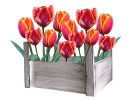 tulip flowers in a wooden box illustration png