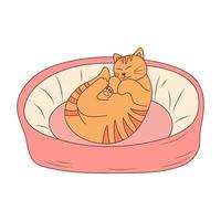 Cute cat sleeping in cat bed in doodle style. Sleepy relaxed feline animal lying on pet cushion.