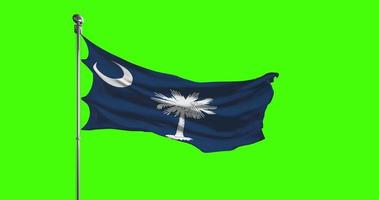 South Carolina State Flag Waving on chroma key background. Unites States of America footage, USA flag animation video