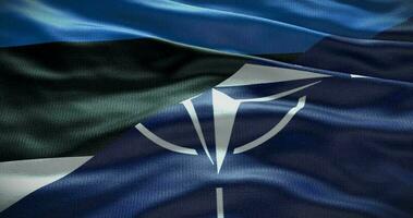 Estonia and NATO relationship. Politics and diplomacy news. Waving flag background video