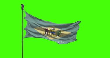 Delaware State Flag Waving on chroma key background. Unites States of America footage, USA flag animation video