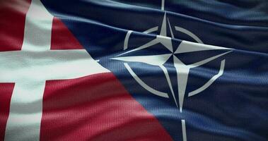 Danimarca e NATO relazione. politica e diplomazia notizia. agitando bandiera sfondo video