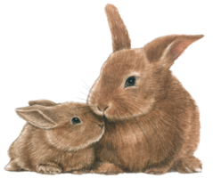 acuarela conejos linda animal Pascua de Resurrección conejito png
