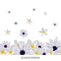 Floral seamless vector border. repeating pattern. Footer white flowers. spring frame