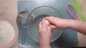 femelle mains Pause une poulet Oeuf dans une transparent assiette et remuer il avec une fouet. vue de au-dessus de. video