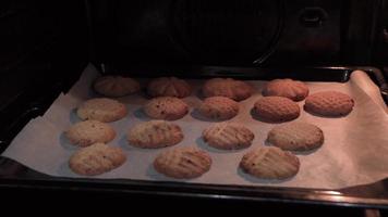 appena fatto fatti in casa biscotti siamo nel il forno. video