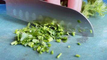 De las mujeres manos cortar verde cebollas con un cocina cuchillo. video