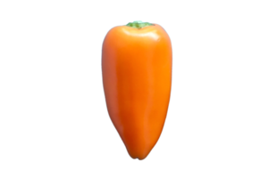 Orange paprika isolated on a transparent background png